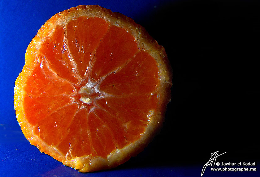 20081227112810_mandarine.jpg